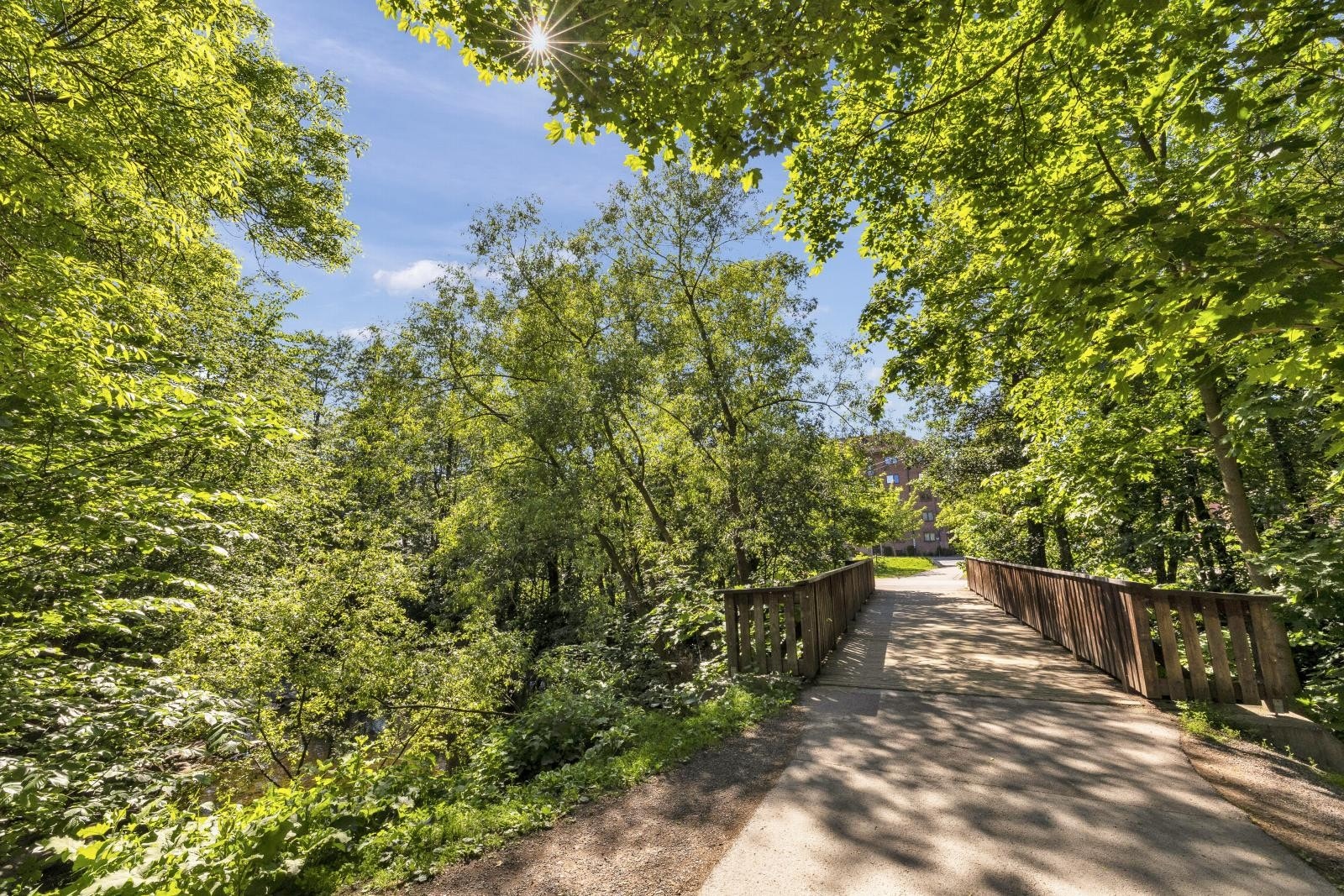 Grønne og frodige omgivelser i nabolaget Galleribilde