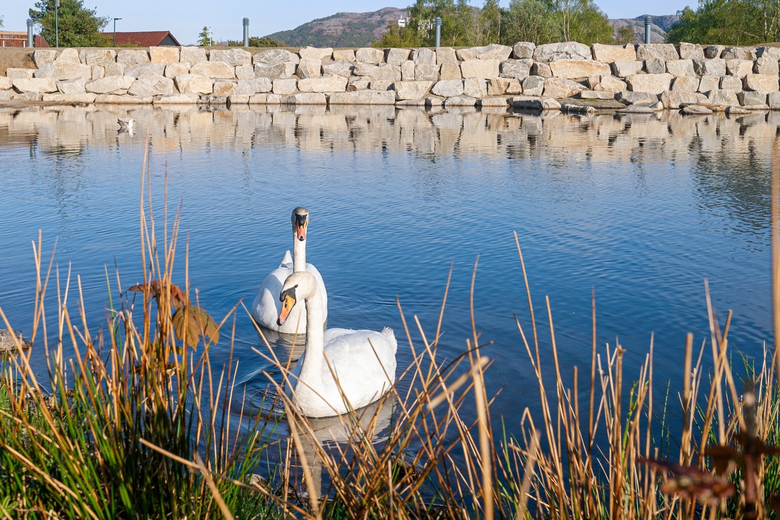 Nærområde. Galleribilde