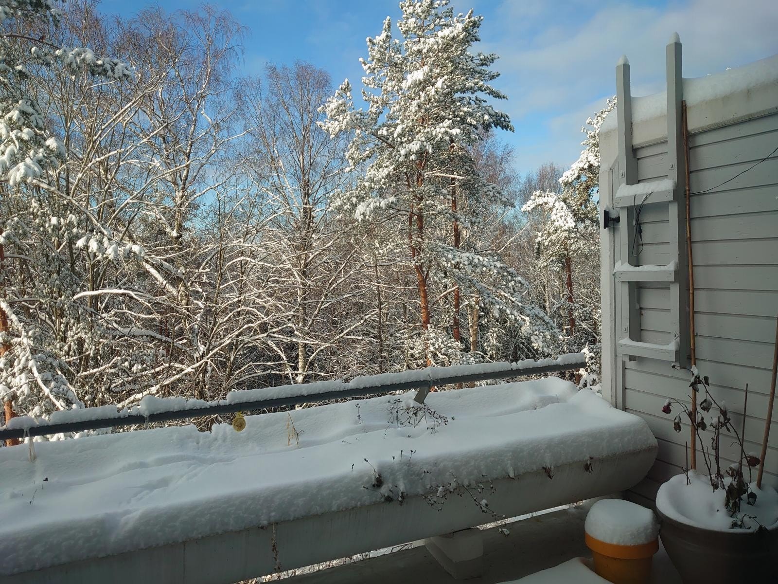 Selgers bilde. Vinteridyll på balkongen. Galleribilde
