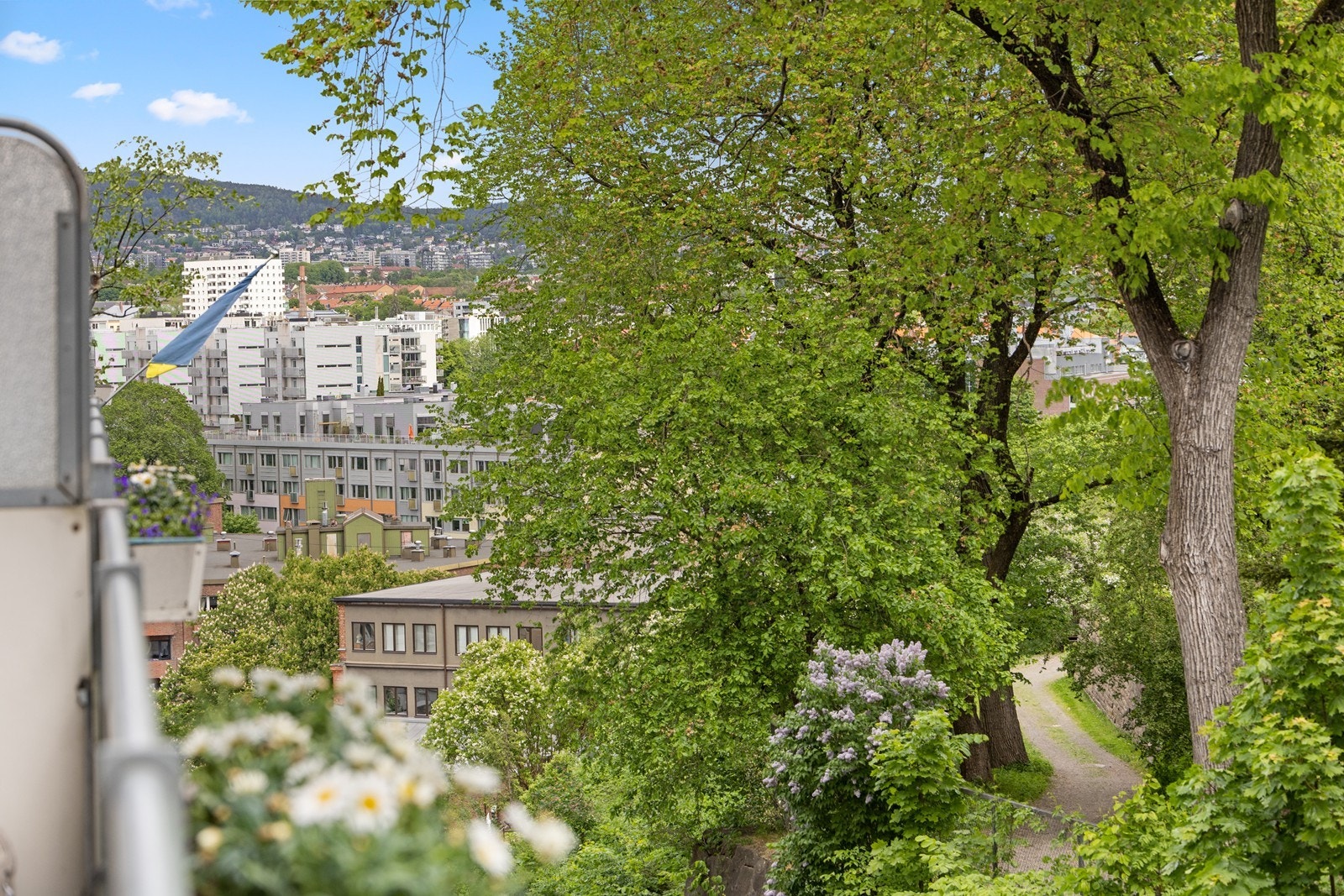 Her kan man nyte et herlig utsyn over Osloby, samt nydelige grøntarealer. Galleribilde