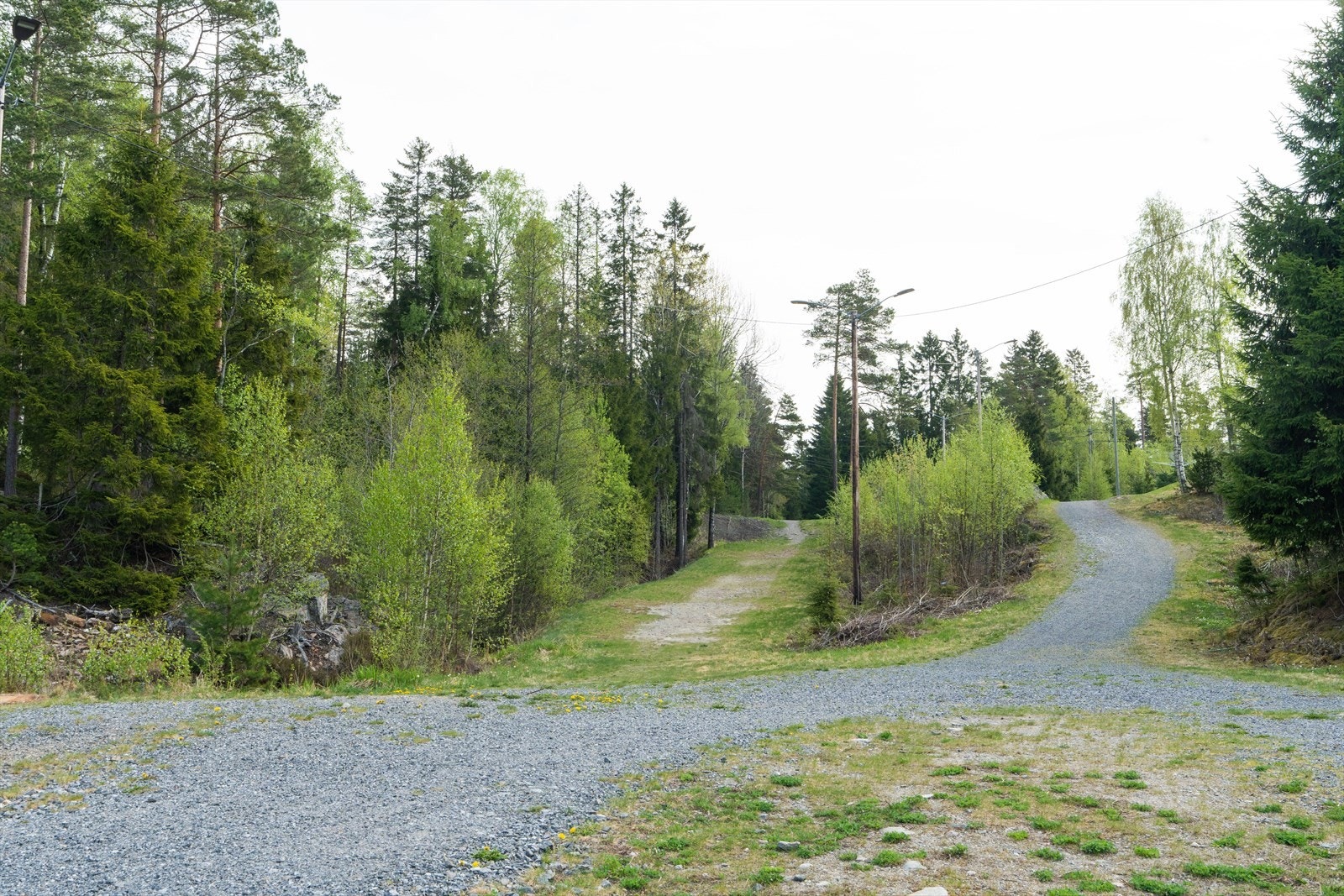 Skiløype Skjønhaug Galleribilde