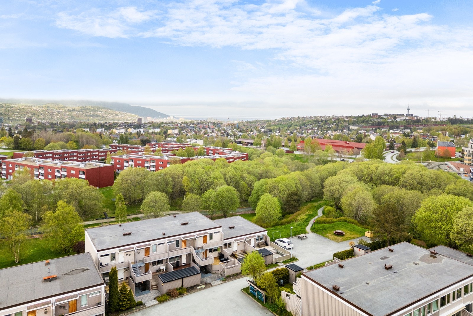 Grønt og fint i nærområdet. Herlig turterreng og fine turstier. Galleribilde