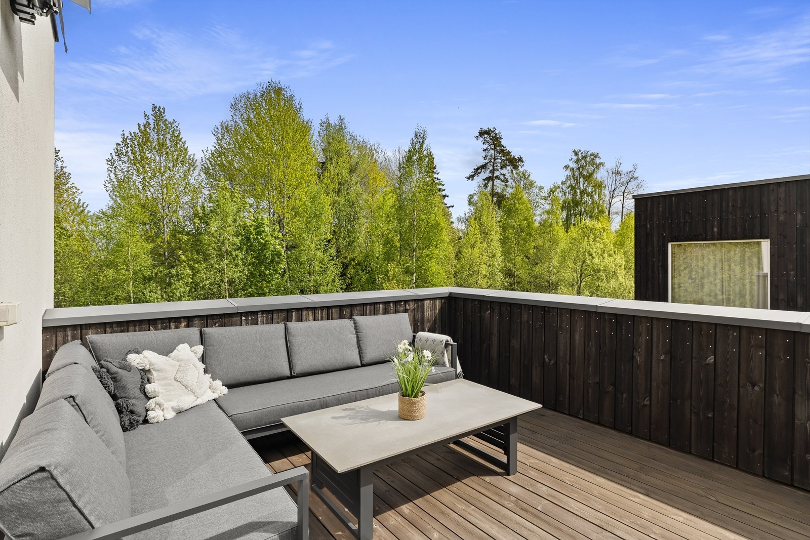 Takterrasse nr 1 med sol fra morgen til ca 19 Galleribilde