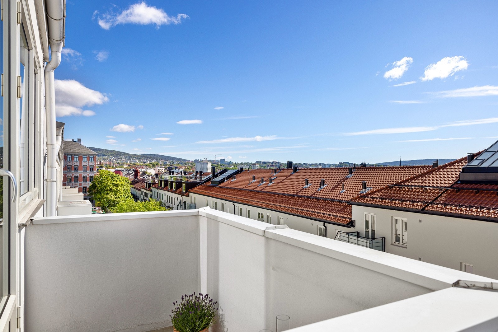 Nydelig og vidstrakt utsikt mot Grefsenkollen Galleribilde