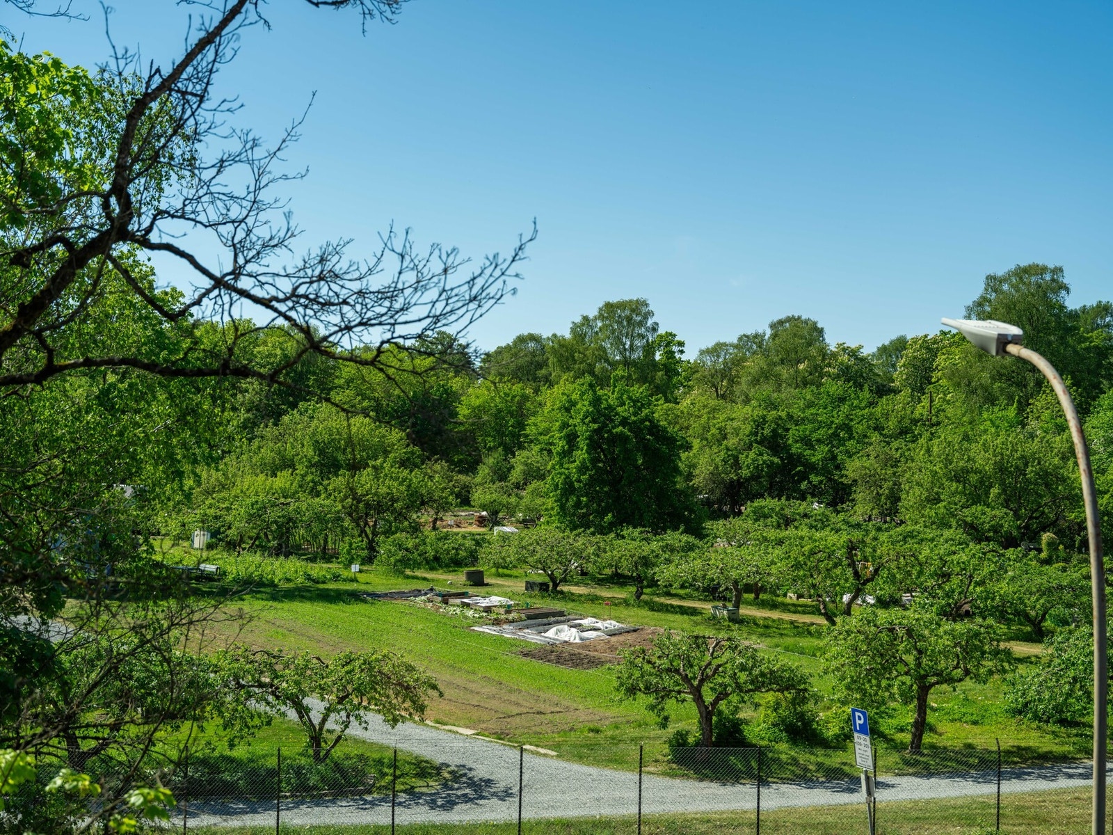 Også fra spisebordet vil dette være utsikten. Dette må oppleves! Galleribilde