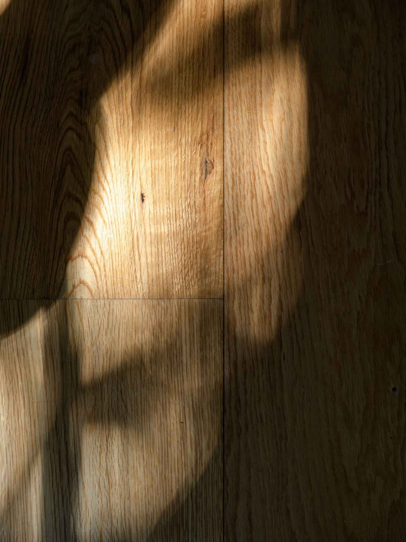 Gulvflatene er belagt med én-stavs eikeparkett. Se så fint det er når solen titter inn! Galleribilde