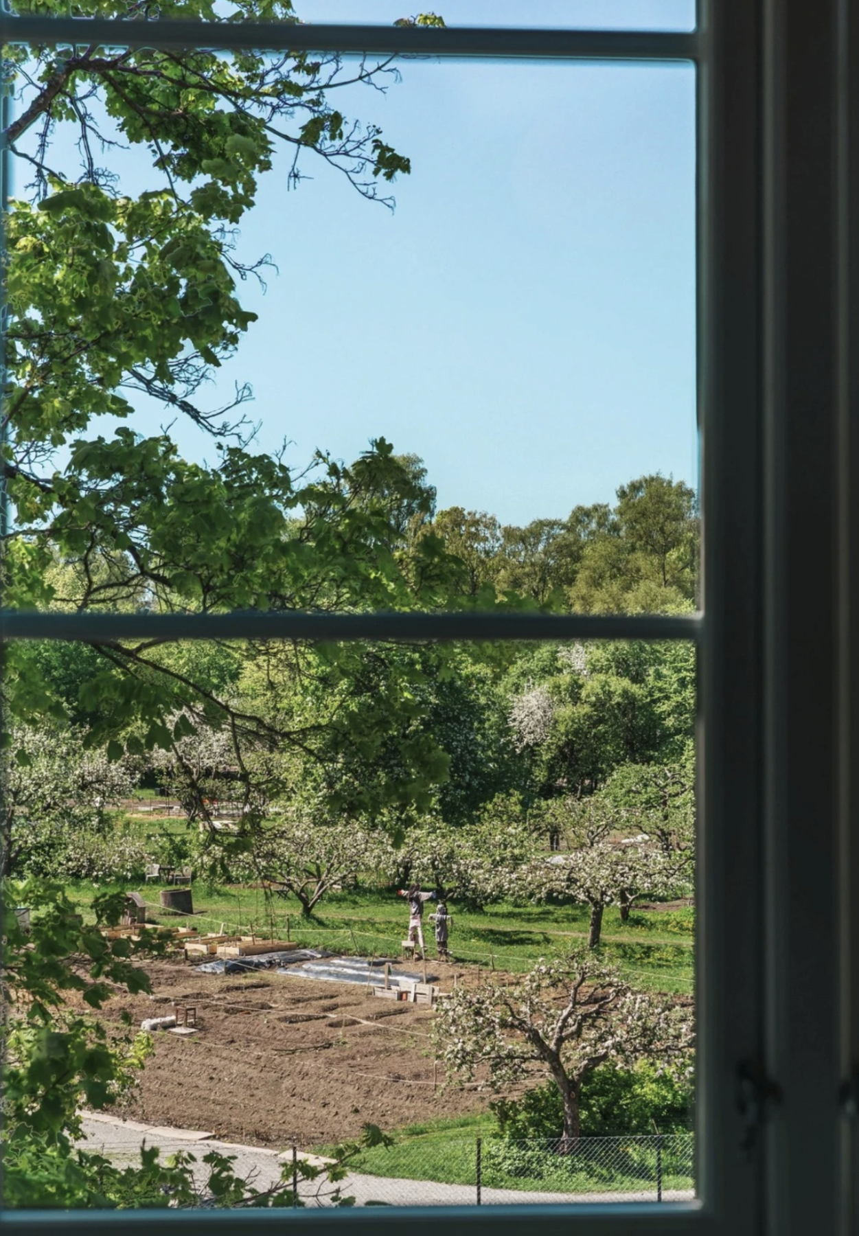 Fra vinduet har du utsyn over Geitmyra. Galleribilde