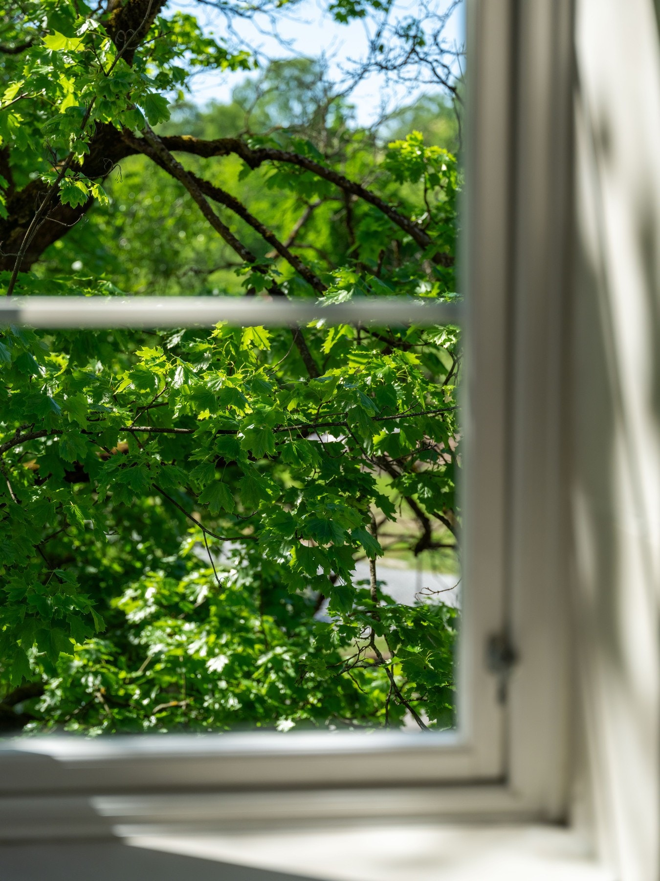 Legg merke til at det er et vindu i hvert eneste rom. Det er virkelig ikke noe alle kan skilte med! Galleribilde