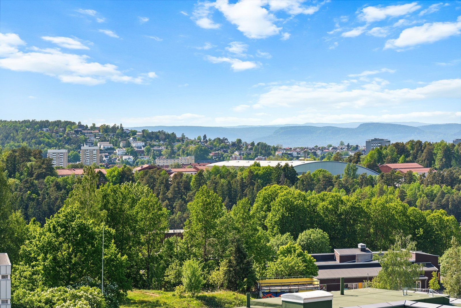 Flott utsikt. Galleribilde