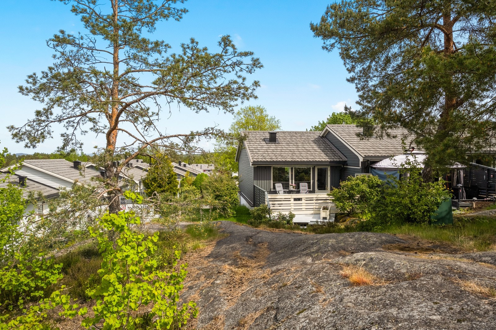 Fra terrassen er det direkte adgang til borettslagets frodige skogområdet - perfekt for firbeinte Galleribilde