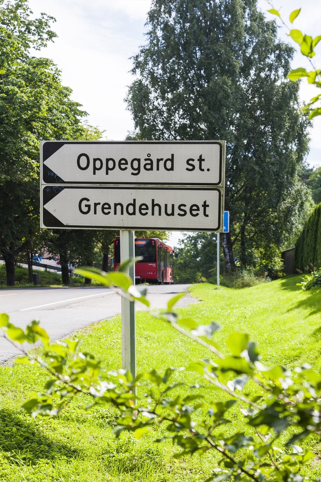 Nærområdet. Galleribilde