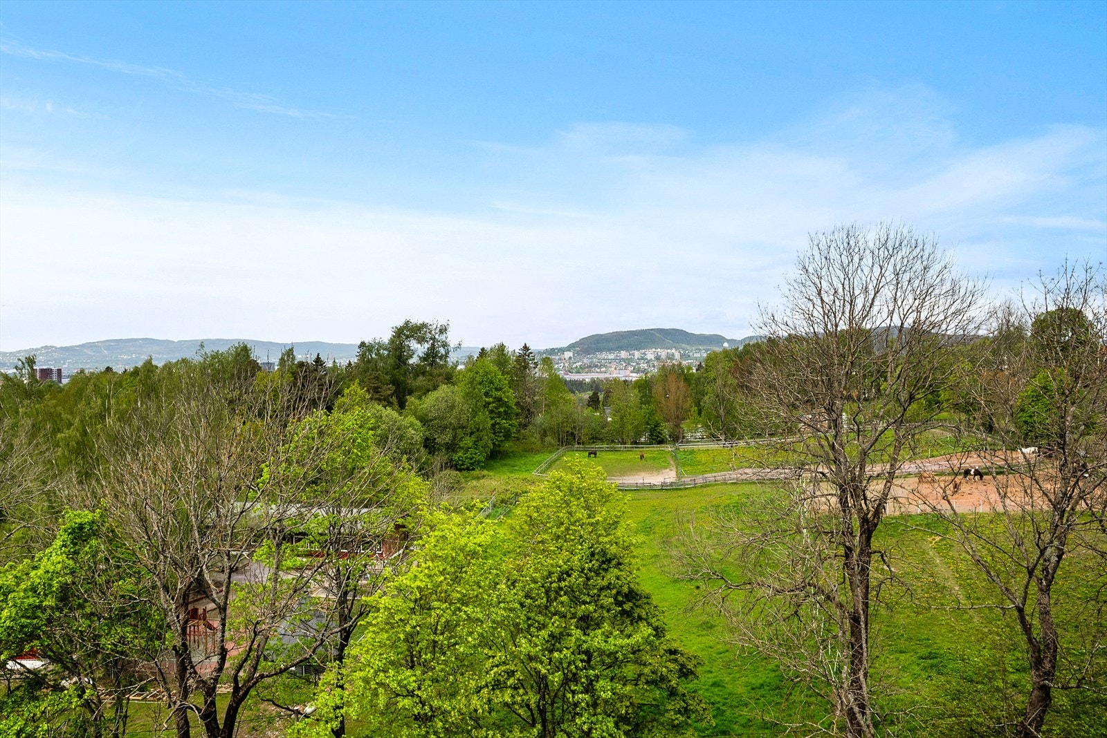 Nærliggende park med gangstier og rekreasjonsmuligheter. Galleribilde