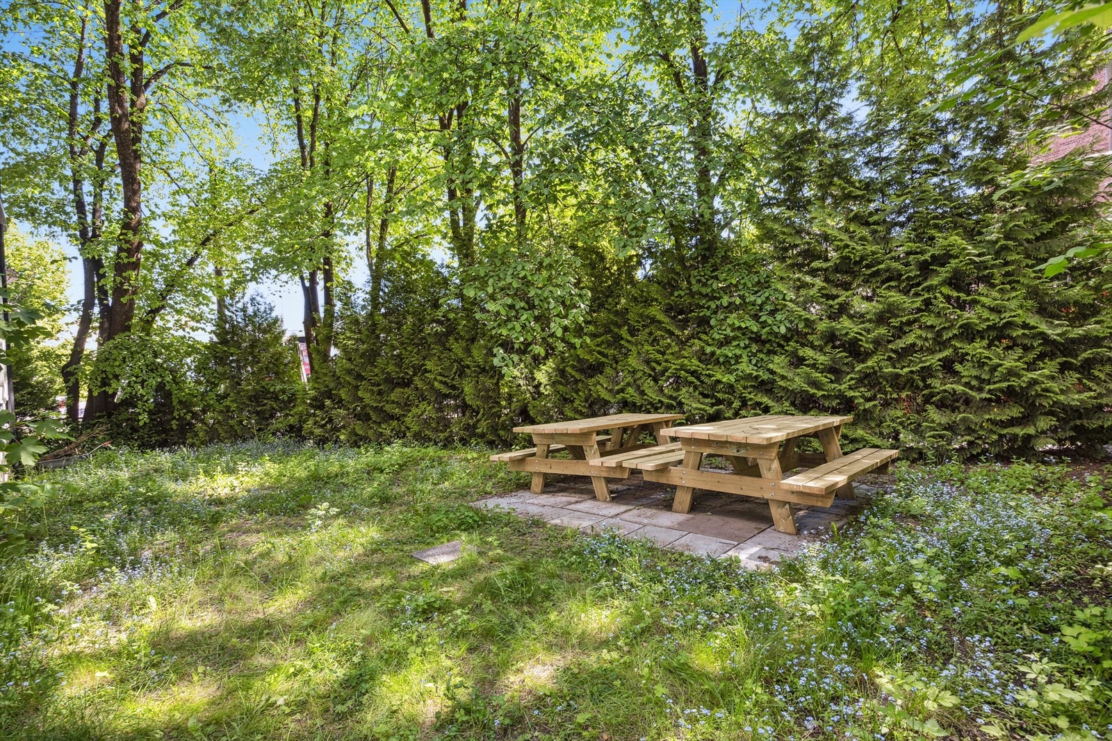 I tilknytning til bakgården finner du en hyggelig sitteplass med frodig grøntareal. Galleribilde