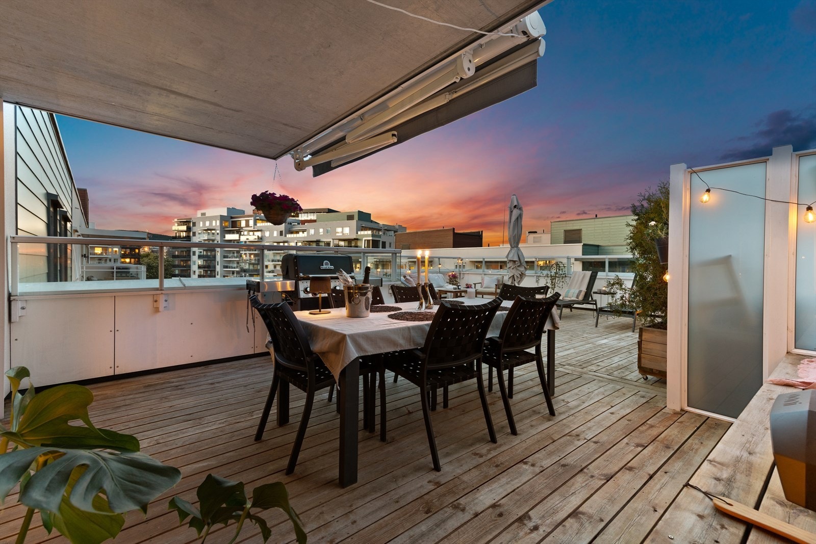 SY3A1065.jpg Galleribilde