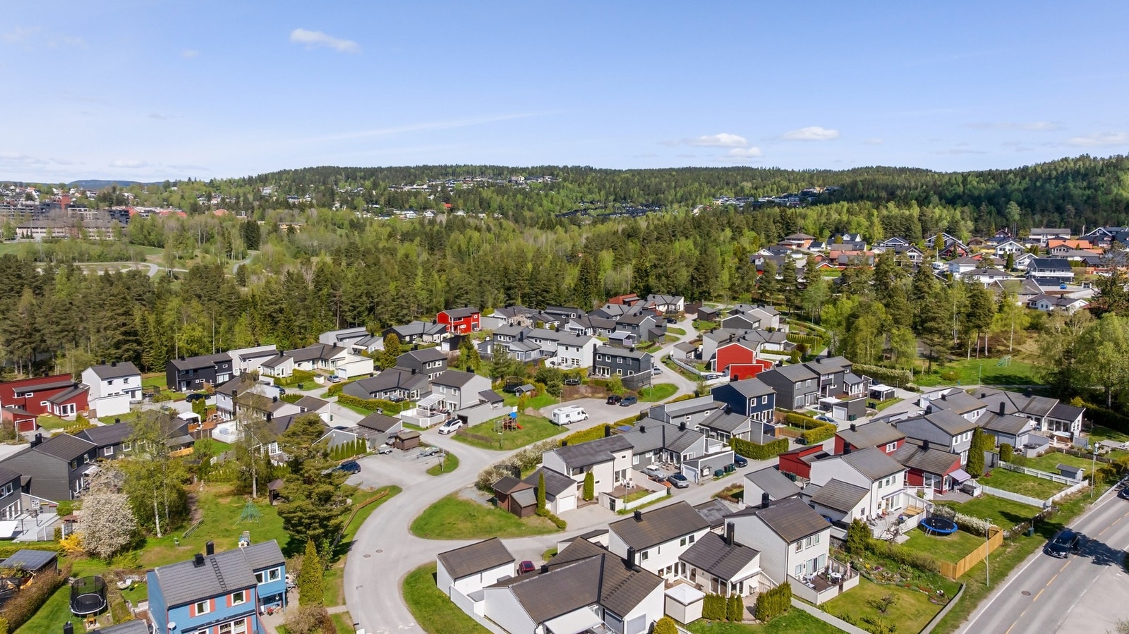 Ballblomen Galleribilde