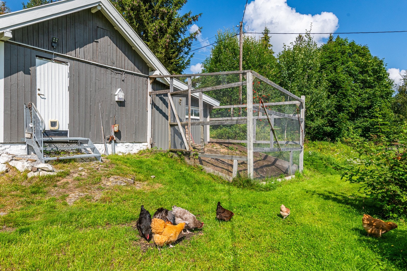 Hønsehus med tilstøtende verkstedrom / vedskjul Galleribilde