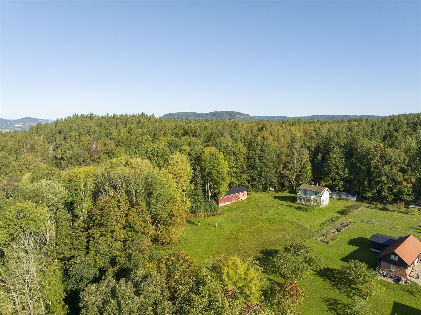 Alternativt kan man ta beina fatt, og gå gjennom Holtnesdalen som er en urskog og naturreservat med en unik løvskog. Her finnes alle norske løvtrearter representert naturlig på ett sted. Galleribilde