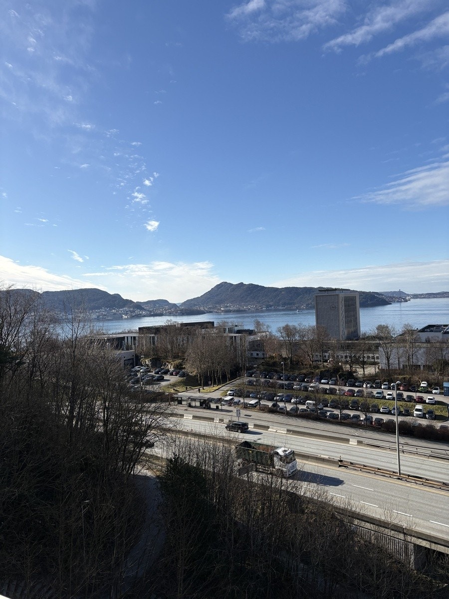 Utsikt Galleribilde