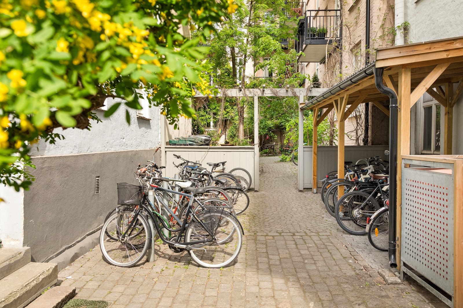 Plass til plassering av sykkel. Gårdsrommet er skjermet og avlåst. Galleribilde