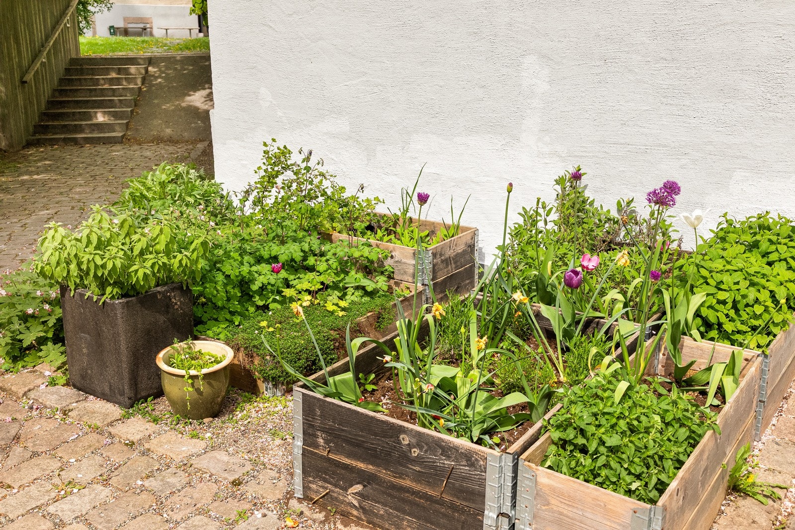 Det er vakker beplantning i platekasser, bed og potter. Galleribilde