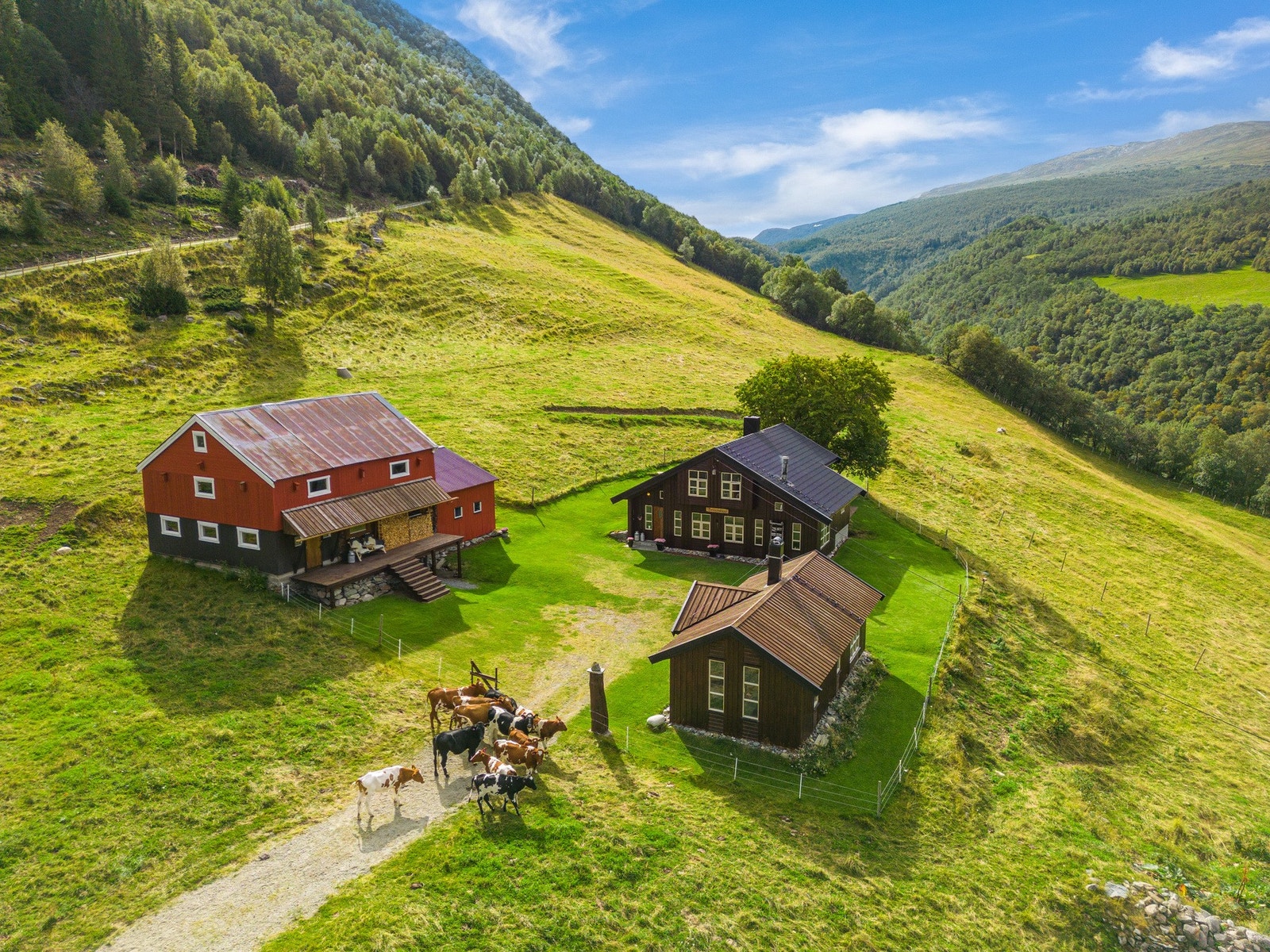 Åpen, solrik og skjermet beliggenhet med nydelig utsikt i flere retninger Galleribilde