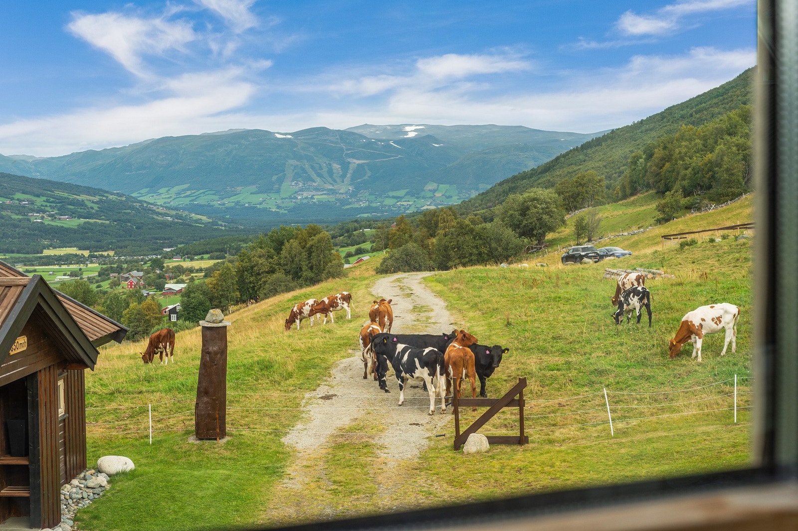 Utsikt fra sov soverom. Det er bilveg helt fram både sommer og vinter. Galleribilde