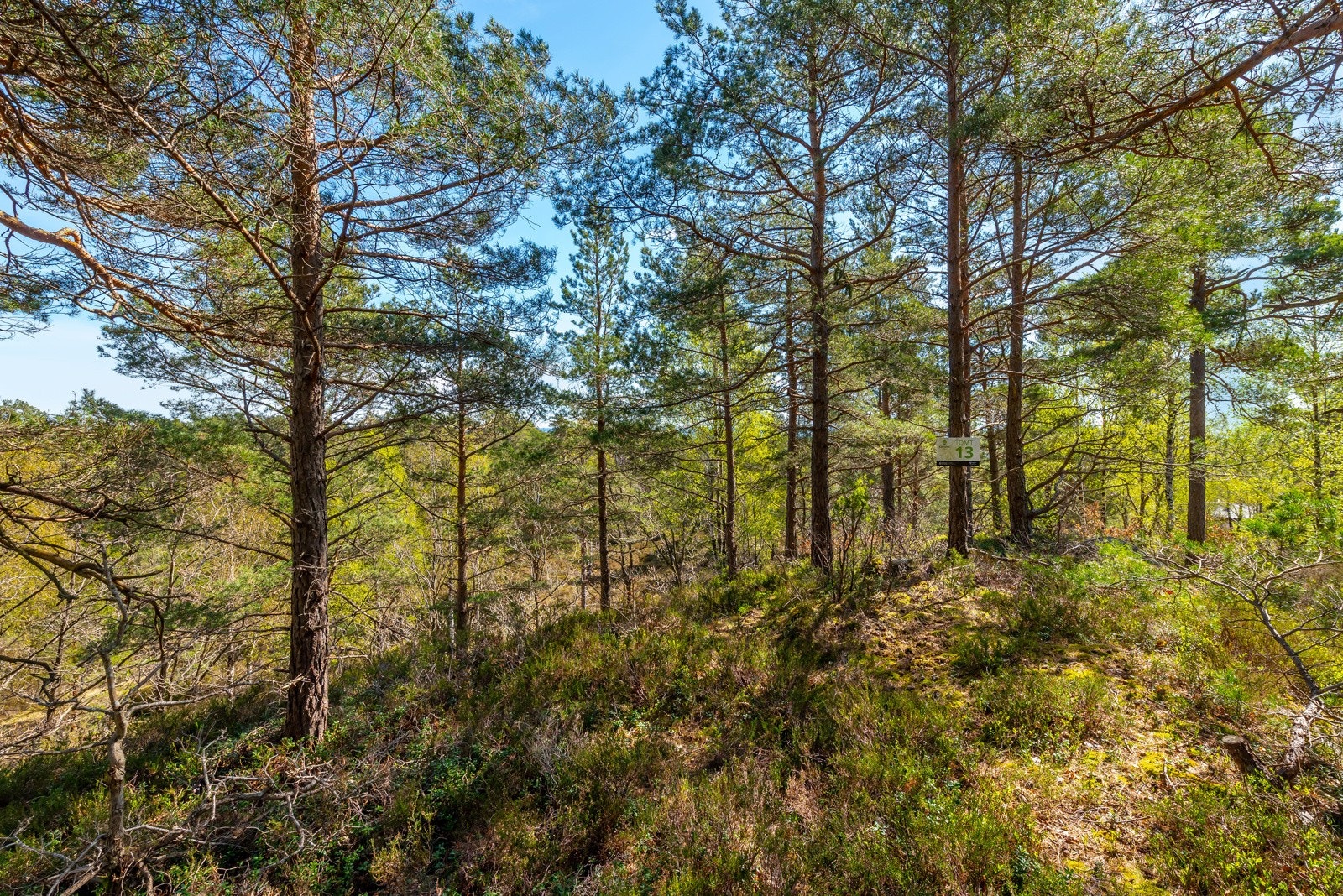 Utsikt fra tomt 13 Galleribilde