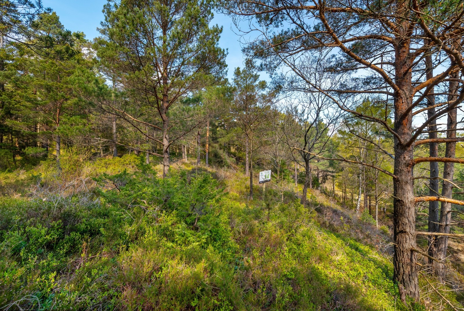 Tomt 14 Galleribilde