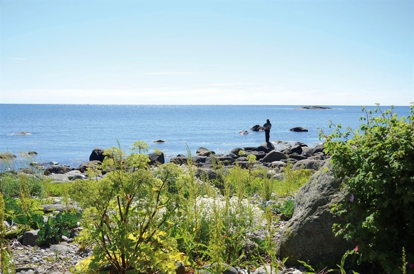 Tromlingene Galleribilde