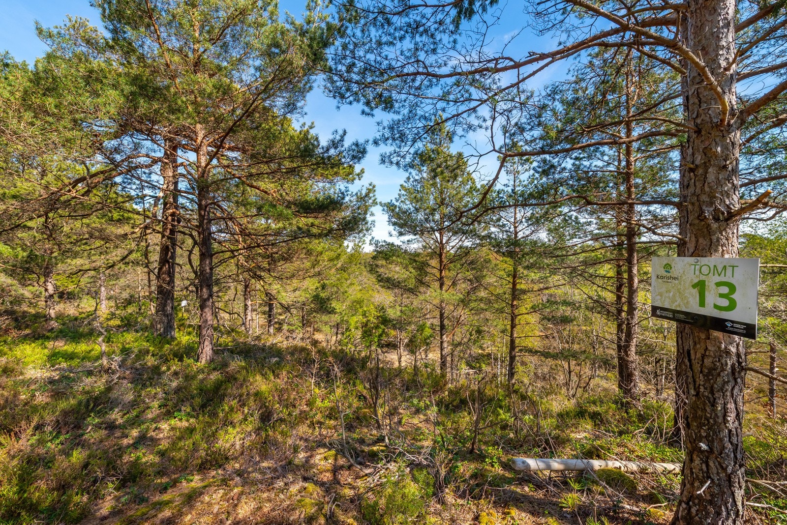 Utsikt fra tomt 13 Galleribilde