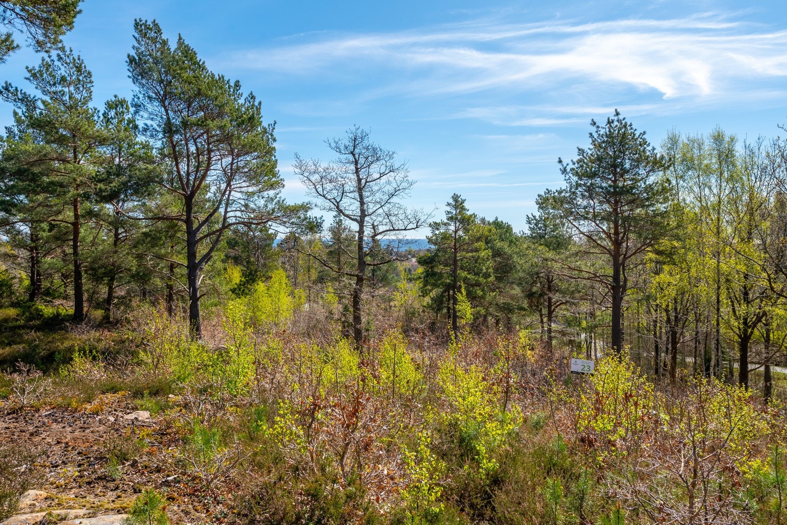 Tomt 23 Galleribilde