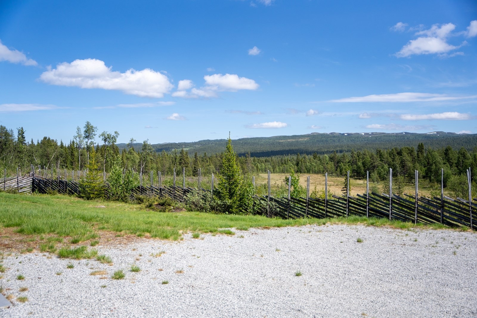 Tomten er å anse som en naturtomt utenom gruslagt gårdsplass og uteområdene Galleribilde