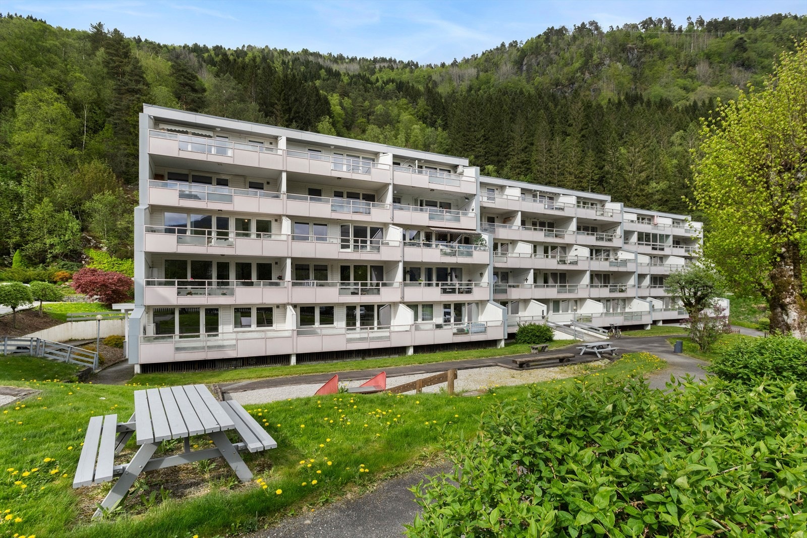 Husk påmelding til visning! Galleribilde