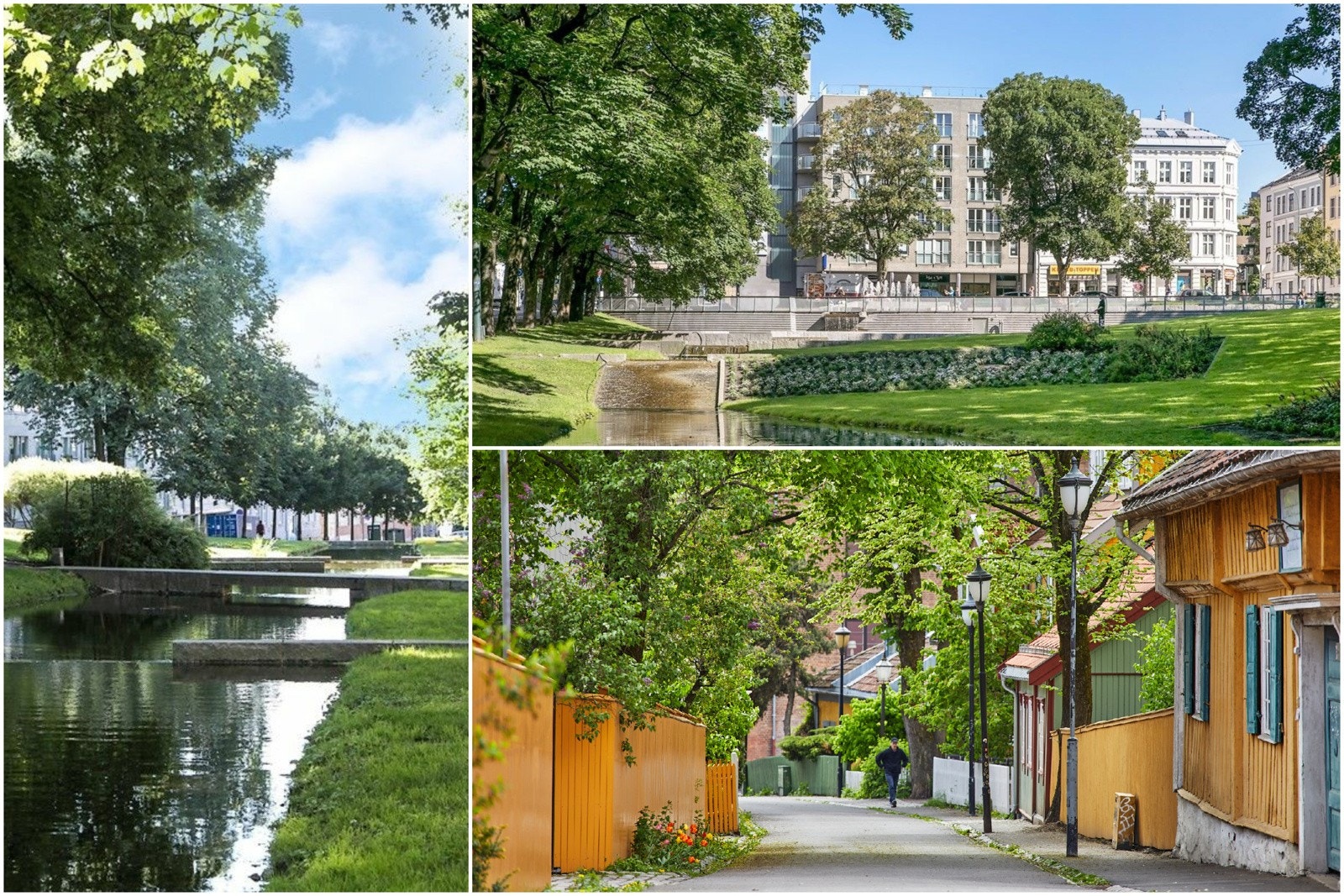 Nærområdet. Galleribilde