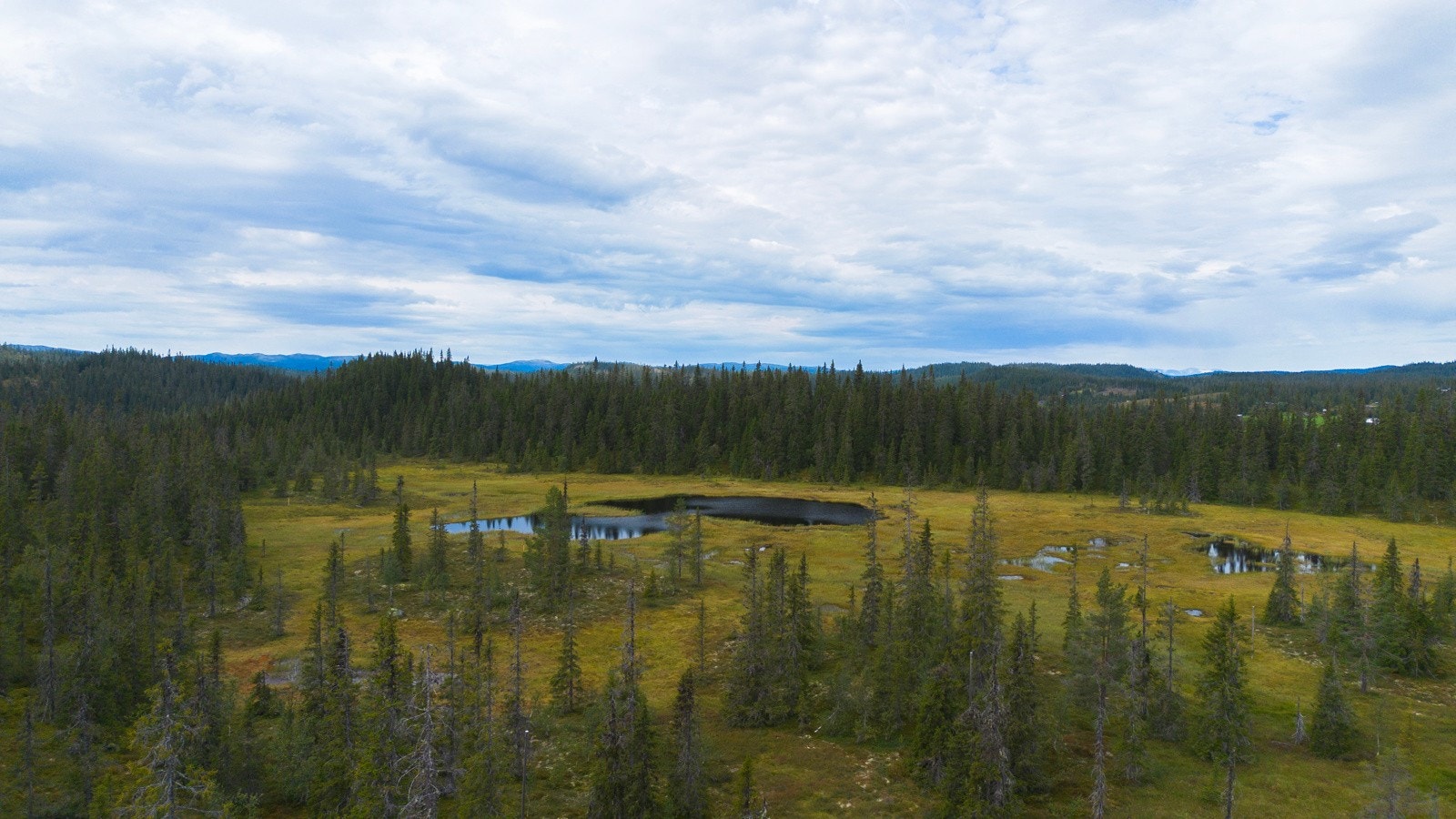 Et rikt turterreng året rundt Galleribilde