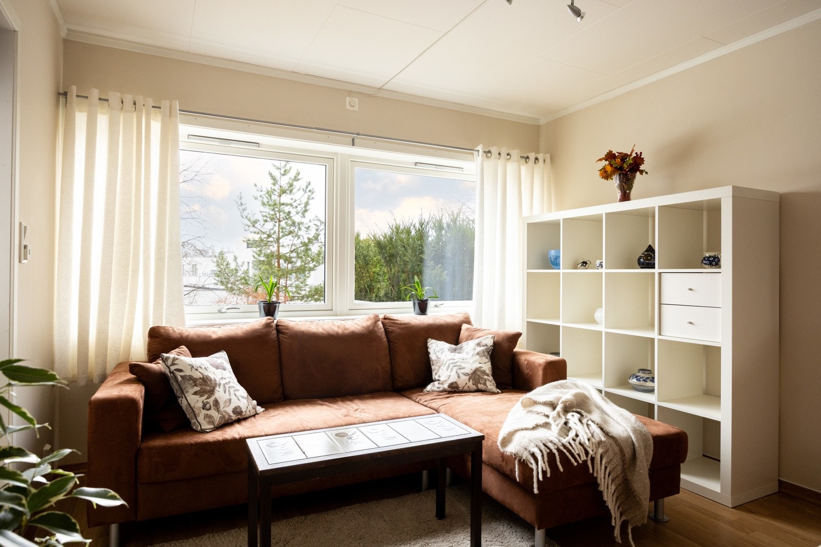 Det er montert screens på vinduene. Galleribilde