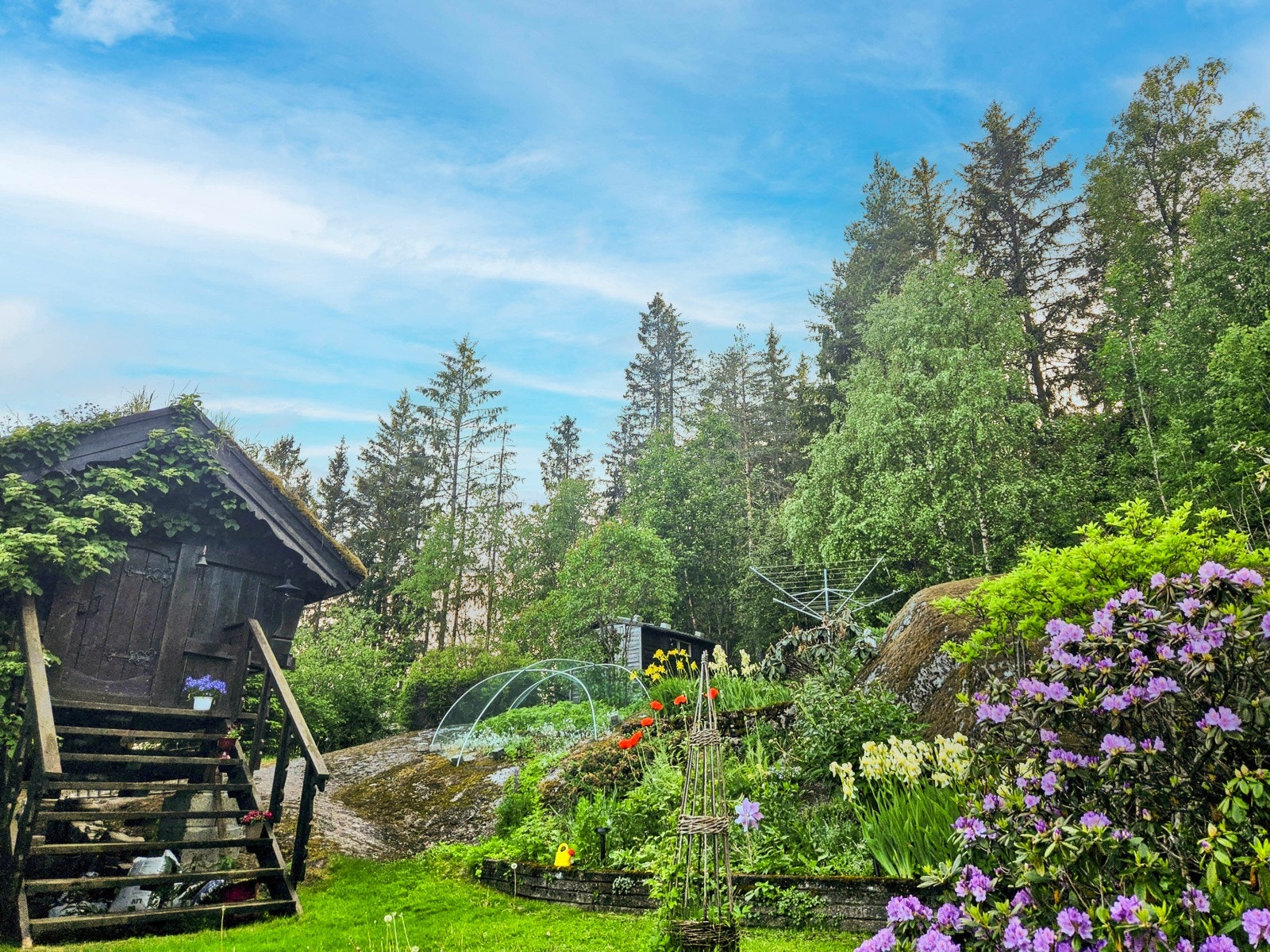 Sommerbilde fra selger Galleribilde