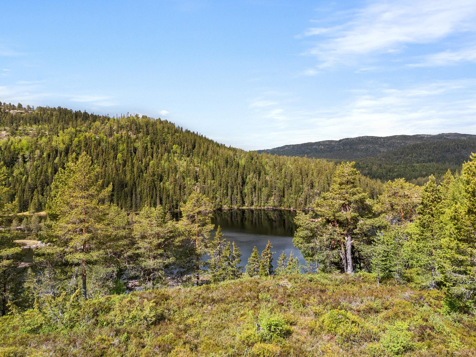 Utsikt mot Store Reiårsvatn Galleribilde