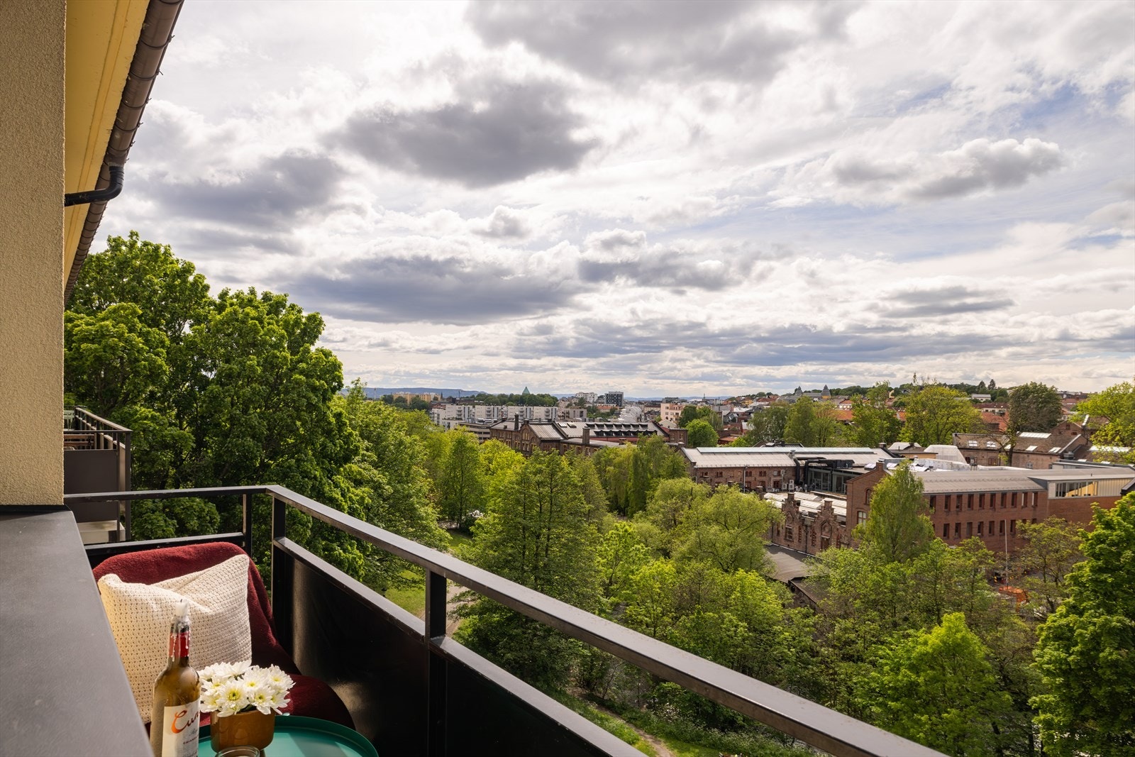 Sjekk ut denne nydelige utsikten mot Akerselva og Oslo. Galleribilde