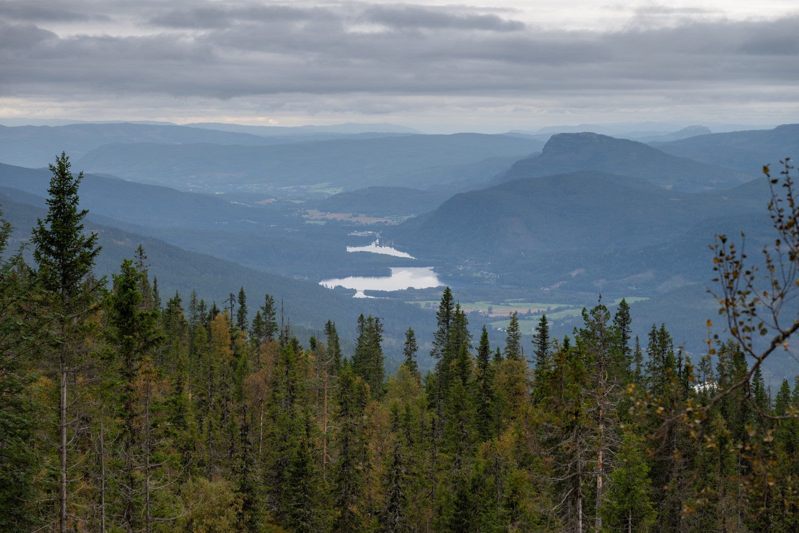 Utsikt mot Solevannet og Andersnatten Galleribilde