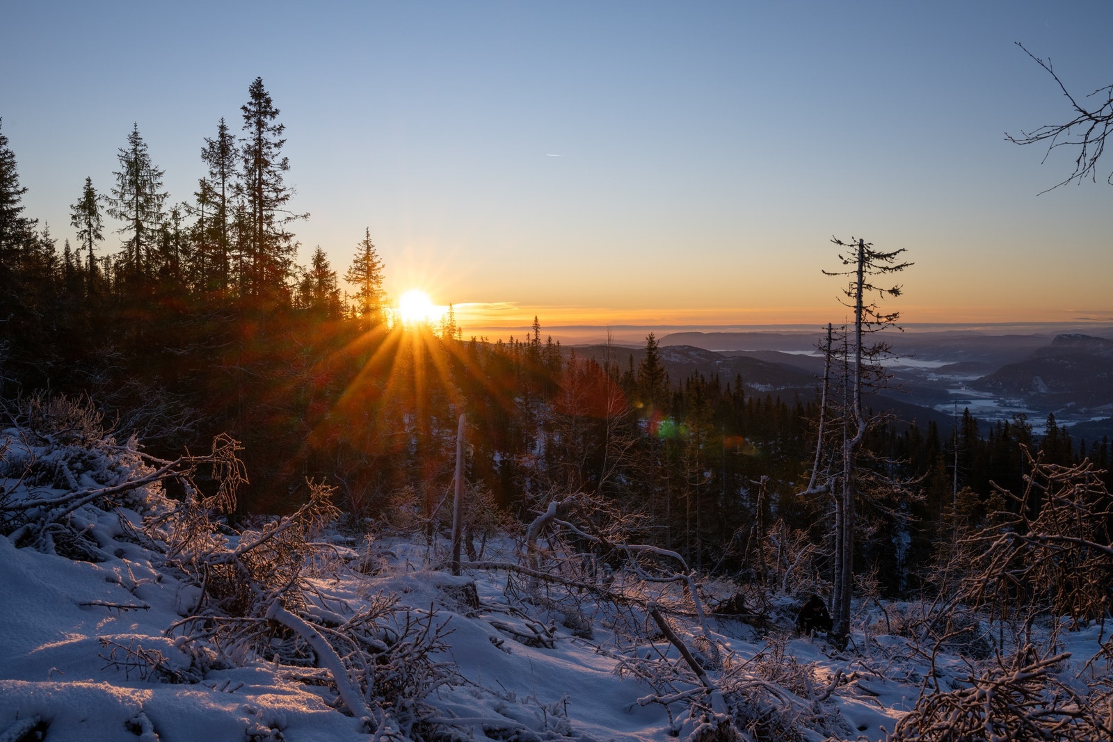 Utsikt fra tomt 10 Galleribilde