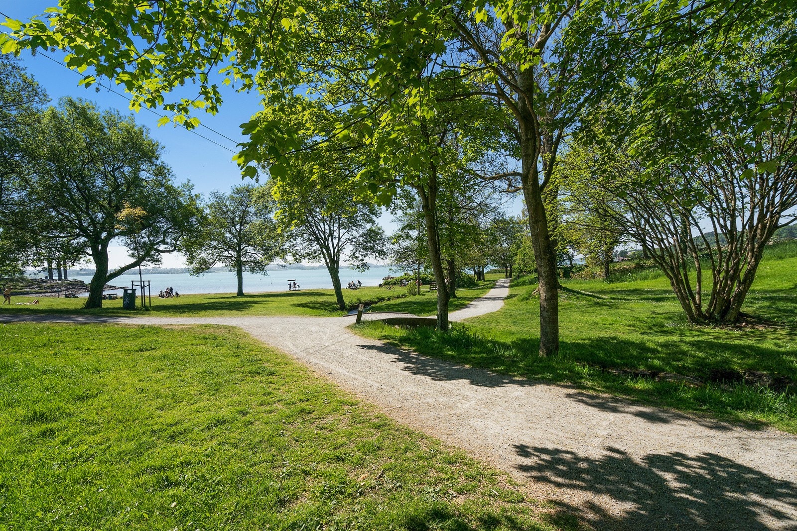 Nærområde. Galleribilde