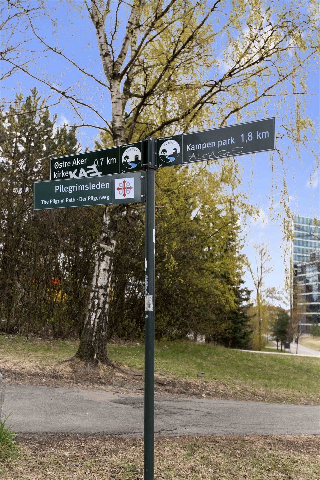 Områdebilde. Galleribilde
