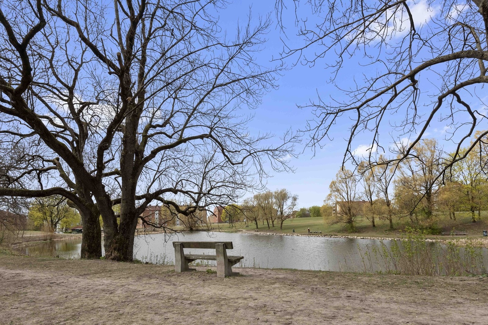 Områdebilde. Galleribilde