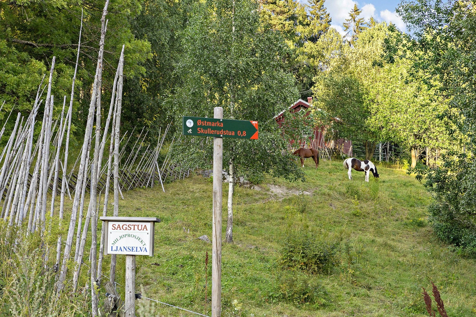 Østmarka byr på en rekke muligheter for dagsturer, toppturer og hytte til hytte turer. Se https://www.dnt.no/dnt-der-du-er/dnt-oslo-og-omegn/turforslag/ostmarka/turforslag-i-ostmarka/ Galleribilde