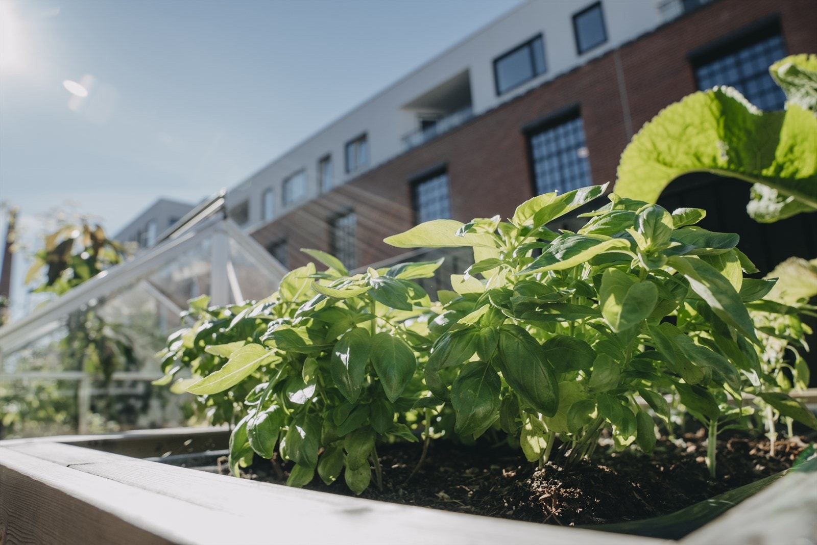 Boligen har tidligere vært illustrert av Nelson Garden. Galleribilde