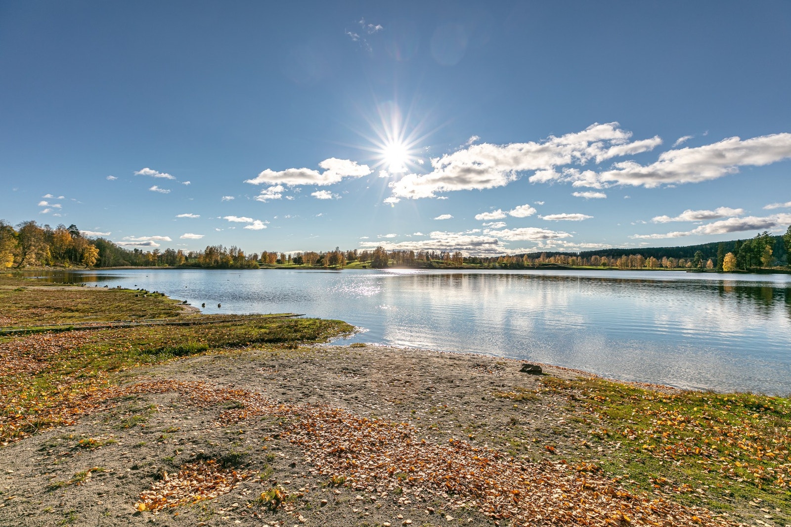 Nabolaget grenser til Bogstadvannet, med badevik, roklubb, herlige turveier og tilgang til Bogstad gård Galleribilde