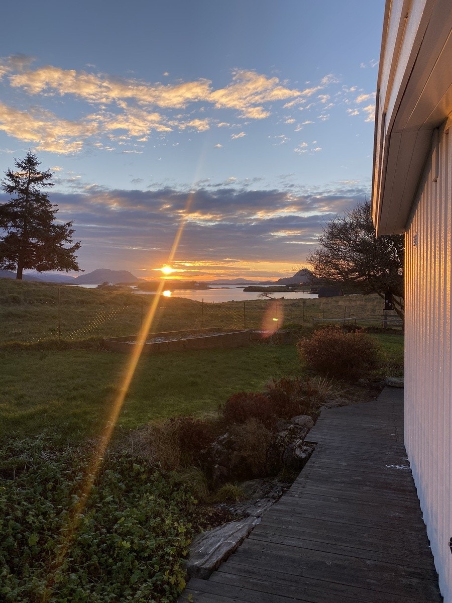 Utsikt mot Torghatten Galleribilde