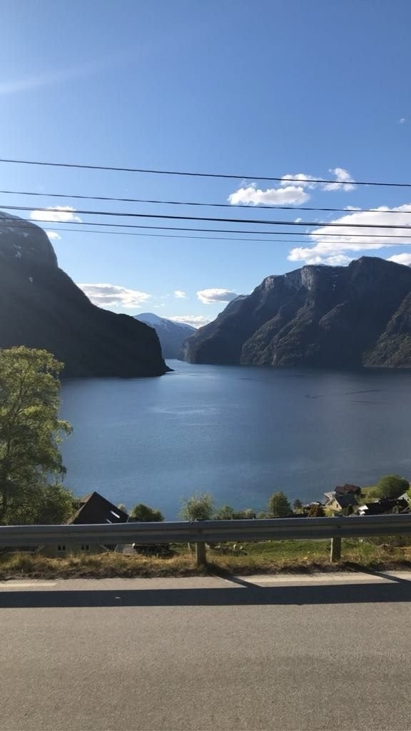 Utsikt fra tomta Galleribilde