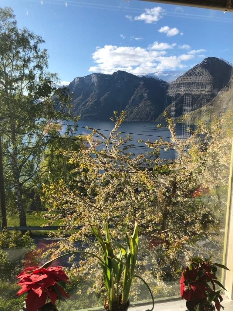 Utsikt fra stuen Galleribilde